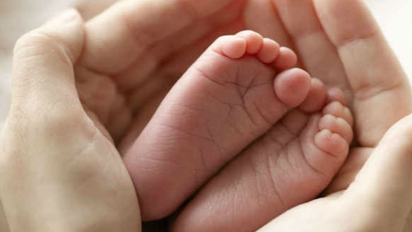 maternal mortality rate in Andhra Pradesh