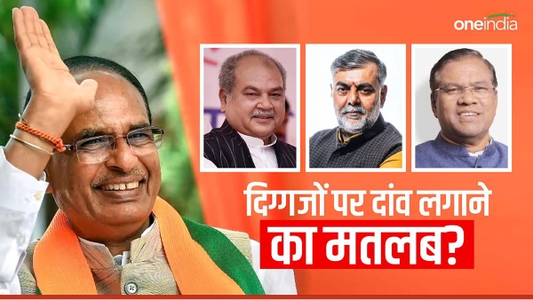 bip heavyweights in mp election