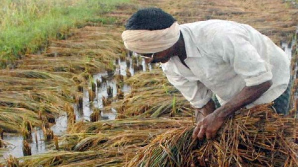 Kharif Crops: Scope of monsoon farming limited