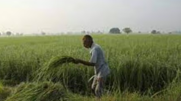 योगी आदित्यनाथ 
