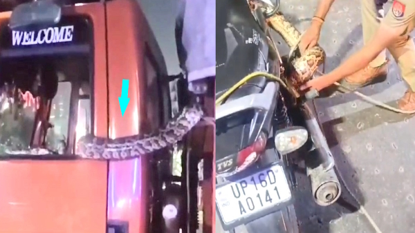 Python entered in the moving truck then it grabbed the bike in greater noida Video went viral Python entered in the moving truck then it grabbed the bike in greater noida Video went viral