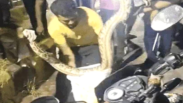 Python entered in the moving truck then it grabbed the bike in greater noida Video went viral Python entered in the moving truck then it grabbed the bike in greater noida Video went viral