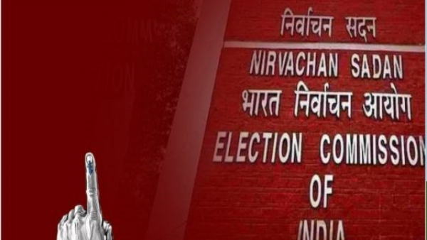 bjd news 