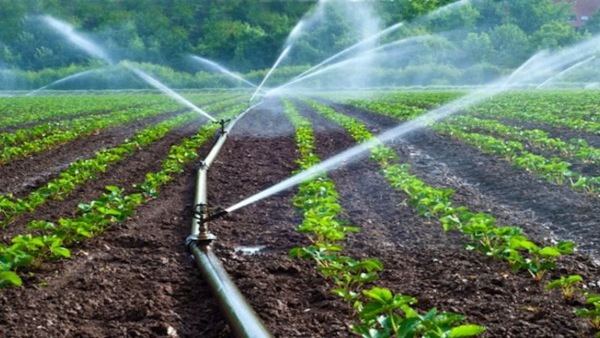 Odisha Integrated Irrigation Project 