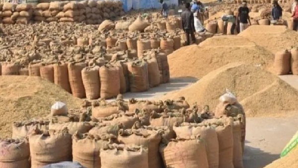 paddy procurement in Odisha 