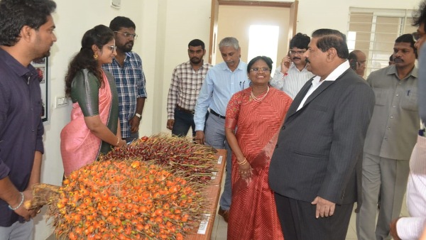 Palm cultivation in Telangana