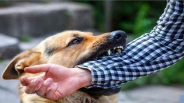 Rabies in Odisha