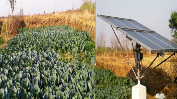 SOUR SUJAL CG 600