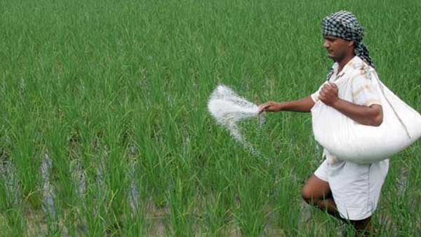  Urea shortage in Telangana