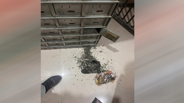 Termites destroyed cash worth Rs 18 lakh kept in bank locker for daughter wedding in moradabad