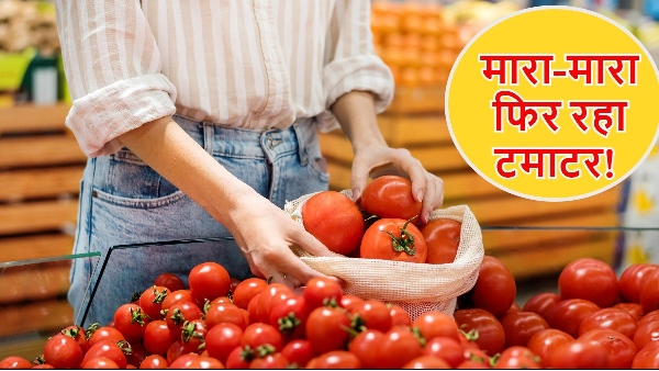 Tomato Price