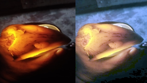 Man found 2 unique stones on the banks of Gomti river in lucknow which changes colour in torch light
