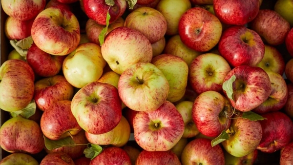 US Apples Walnut Additional duty