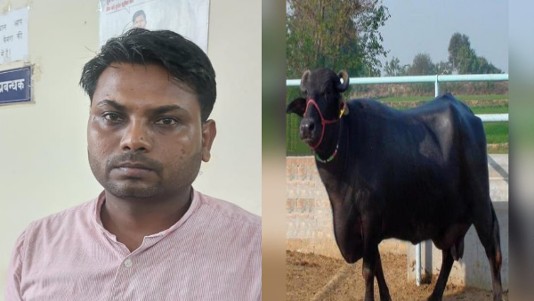 Haridwar: Manager asked for bribe to get buffalo loan approved, Vigilance caught him taking Rs 4,000