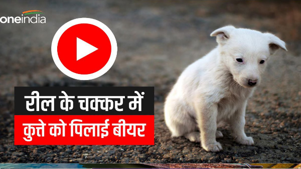  Viral video DEHRADUN Beer given to dog due to reel, police filed case, now action will be taken