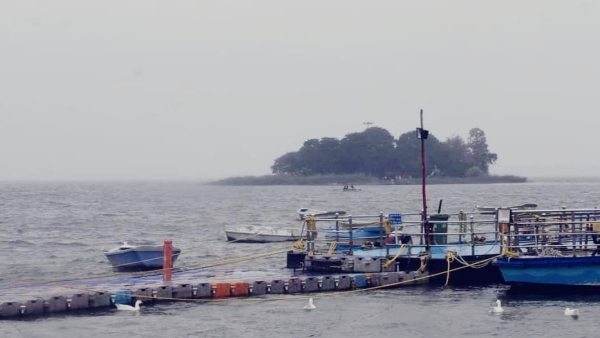 Due to continuous rain for 24 hours big lake is filled to brim, gates of Bhadbhada Dam can be opened