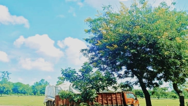 There are chances of rain in MP due to accumulation of clouds, continuous changes in weather continue