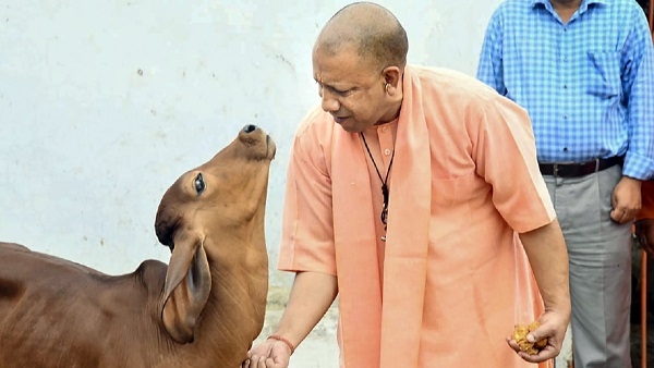 yogi adityanath yogi adityanath