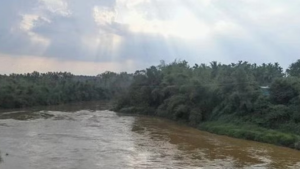 contractor jumps into the river contractor jumps into the river
