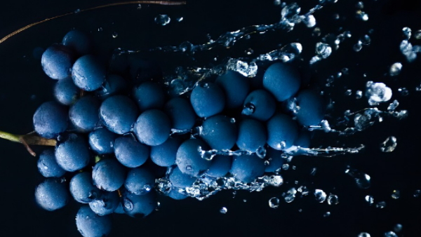 Grapes are good for eyes