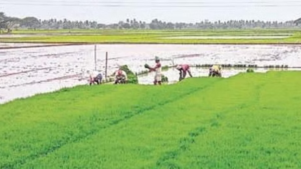 Odisha