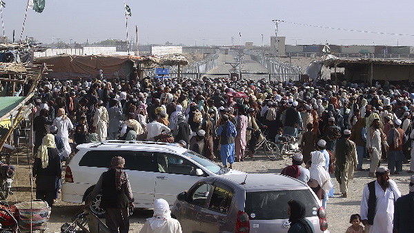 taliban Aghan immigrants