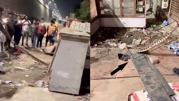 viral video of python rescue infront of a wine shop in agra 