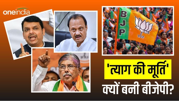  maharashtra bjp and ajit pawar