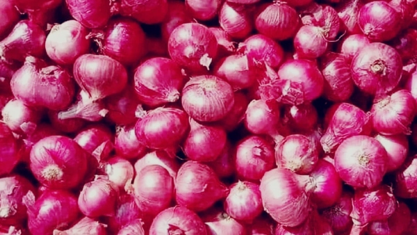 Government is selling onion for ₹ 25 kg in front of Vallabh Bhawan, people queue up to buy it