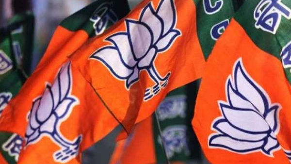 bjp andhra
