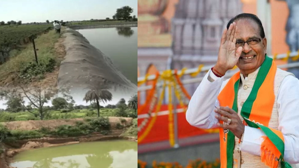 बउ बउ