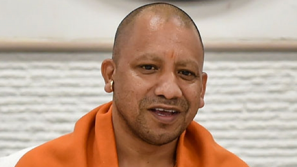 yogi yogi