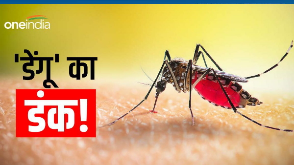 Dengue outbreak increasing in Begusarai