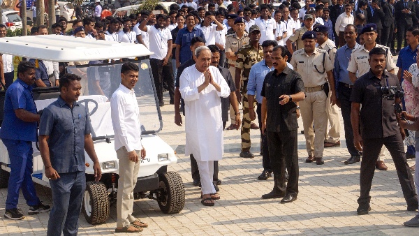 ias vk pandian of odisha