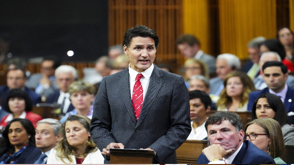 india may take canada in fatf