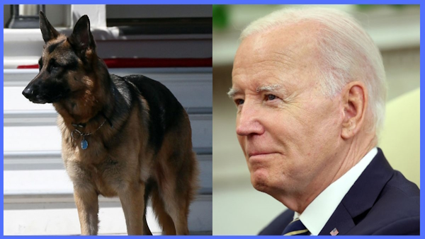 Joe Bidens dog removed from White House 