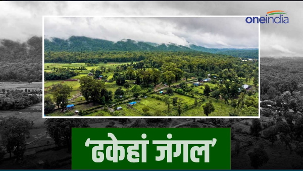 Dhakehan Jungle Motihari