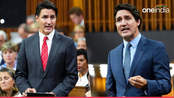 Canadian PM Justin Trudeaus education qualification