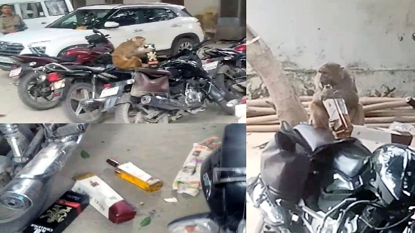 monkey took out liquor bottle from the bike of a policeman in Kanpur Police Commissioner Office
