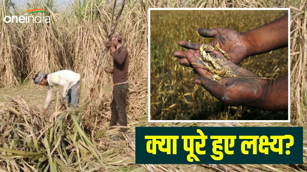 Bihar News: Krishi Road Map History And Record, CM Nitish government plan news in hindi