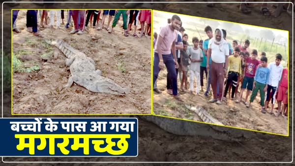 crocodile-came-near-children-playing-in-mirzapur-up
