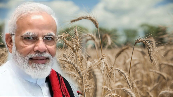 RABI Season