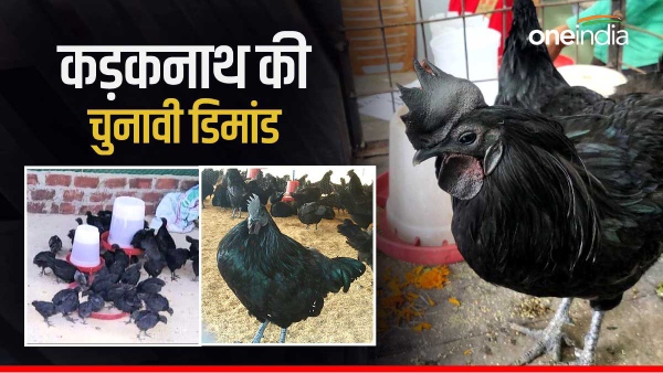 Indore