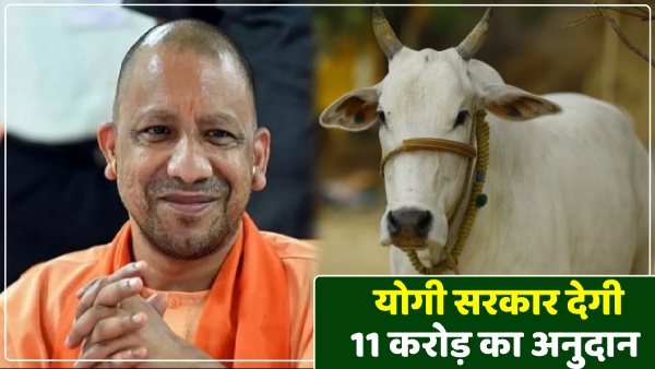 yogi-government-will-spend-rs-31-crore-on-three-schemes-in-5-months