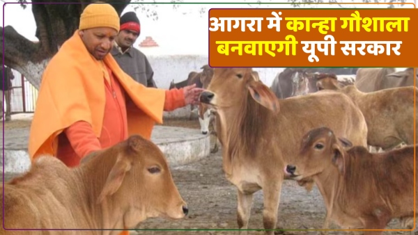 up-government-will-build-kanha-gaushala-in-agra-with-so-many-crores-of-rupees