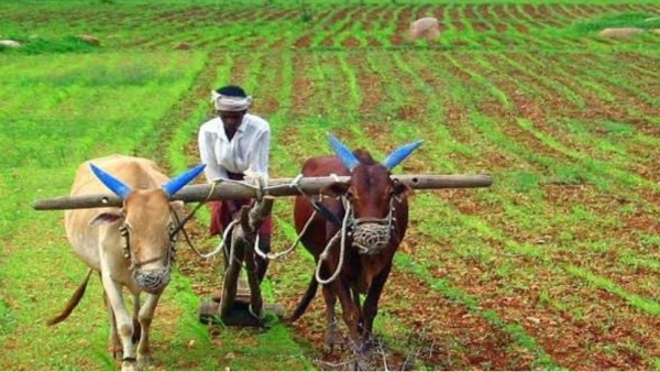 योगी सरकार योगी सरकार