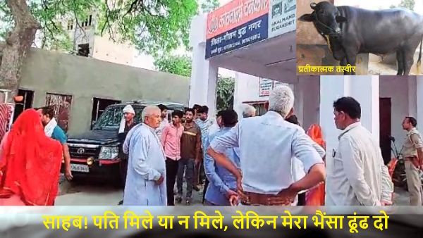women appeals to police to find her missing husband and buffalo in greater noida 