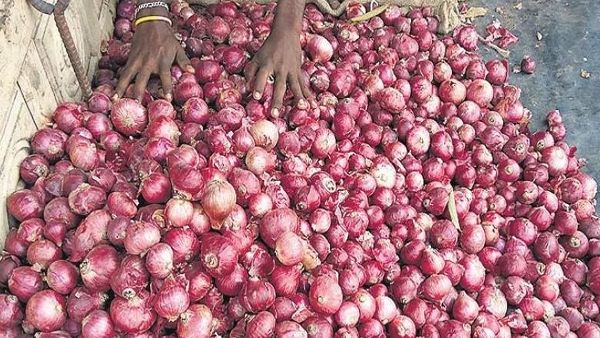 Onion Price Onion is bringing tears