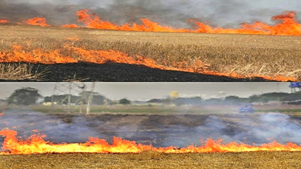 stubble was being secretly burnt in Mathura caught by satellite images now action is being taken stubble was being secretly burnt in Mathura caught by satellite images now action is being taken
