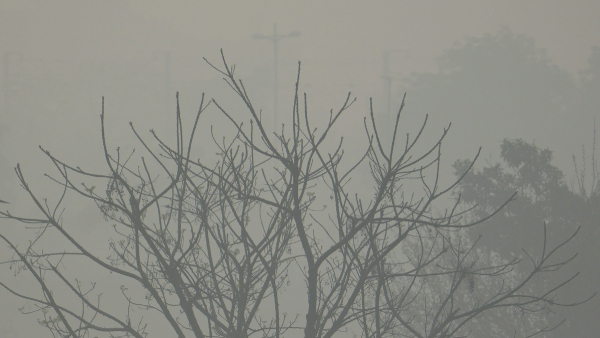Delhi ka Mausam